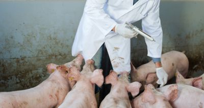 Antibiotic sales for farmed animals fall to record low
